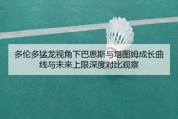 多伦多猛龙视角下巴恩斯与塔图姆成长曲线与未来上限深度对比观察